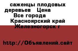 саженцы плодовых деревьев › Цена ­ 6 080 - Все города  »    . Красноярский край,Железногорск г.